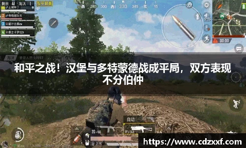 和平之战！汉堡与多特蒙德战成平局，双方表现不分伯仲