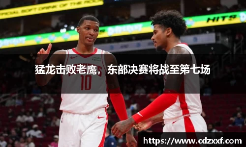 猛龙击败老鹰，东部决赛将战至第七场