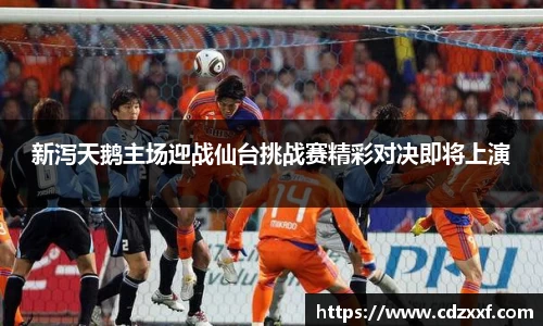新泻天鹅主场迎战仙台挑战赛精彩对决即将上演
