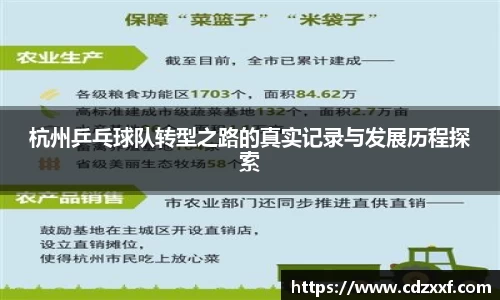 杭州乒乓球队转型之路的真实记录与发展历程探索